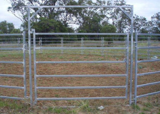 Australia Standard 6 Rail Steel Cattle Fence 40x80 Oval Rail Metal Livestock Fence Panels