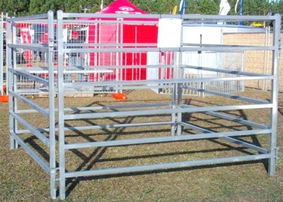 6 Rail Heavy Duty Steel Cattle Fence Panel Use Corral Panels 1820X2100mm