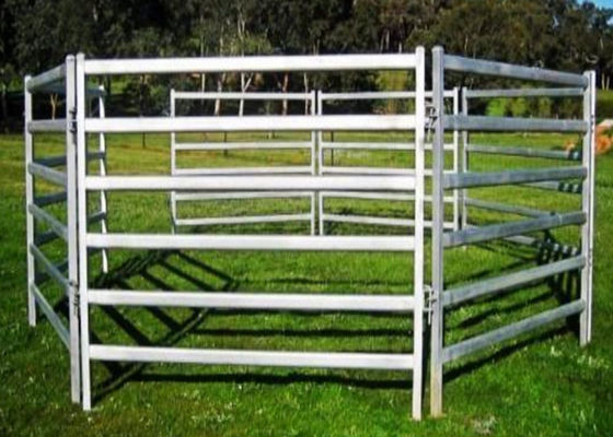 Eco Friendly White Color Sheep Fence Panels 1000X2100mm By Square Tube