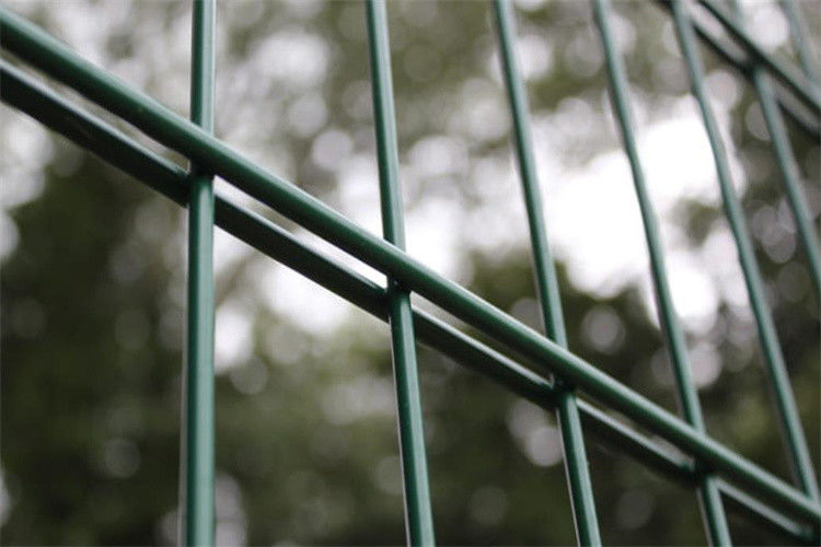 Vinyl Coated Double Wire Welded Fence 60*60mm Galvanized 868 Mesh