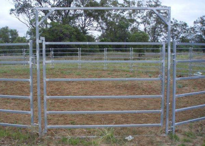 Australia Standard 6 Rail Steel Cattle Fence 40x80 Oval Rail Metal