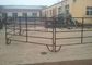 Welded Metal Cattle Fence Panels Australia Standard With Square / Oval / Round Tube