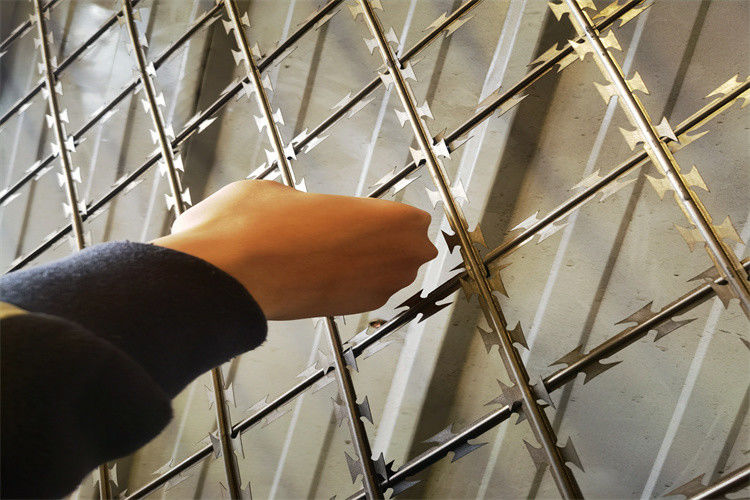 Factory Supply Galvanized Powder Coated Razor Barbed Wire Mesh Fence Enhanced Security